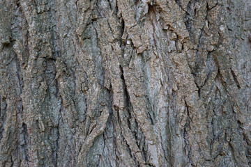 Naklejka premium hintergrund struktur serie002