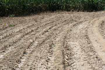 Ein abgeertntetes Fekd