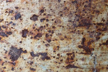 texture