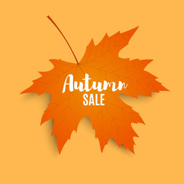Autumn sale. Autumn maple leaf isolated on a white background. Vector illustration
