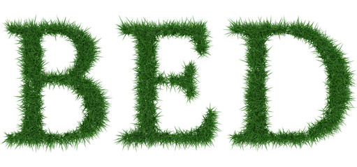 Bed - 3D rendering fresh Grass letters isolated on whhite background.