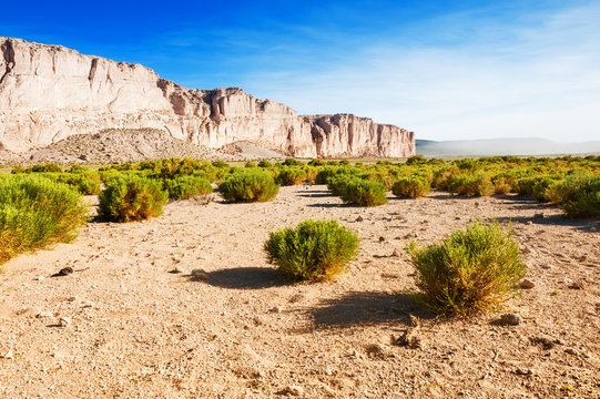 Desert landscape on the plateau Altiplano, Bolivia