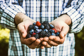 Farmer with blackberries - 169424329