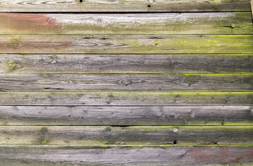 rundown wooden planks