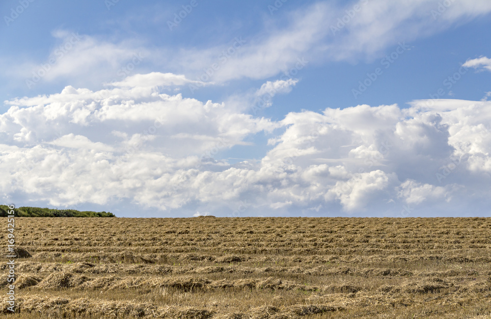 Canvas Prints rural landscape with clouds