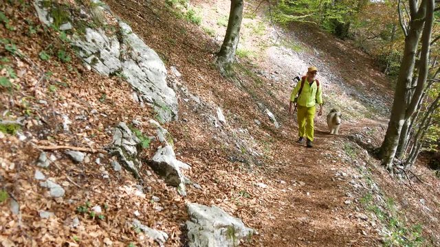 Passeggiare nel bosco di montagna