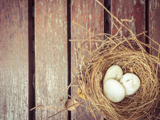 bird nest with white stone on wooden background and copy space
