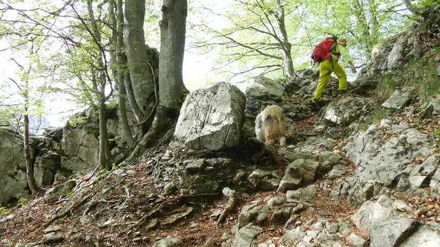Trekking nel bosco