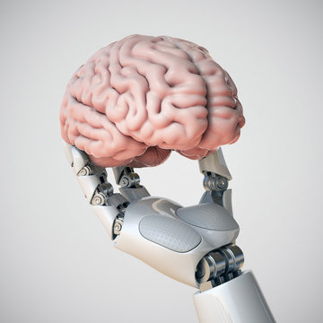 Robotic hand holding human brain