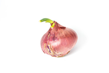 Red onion on white background