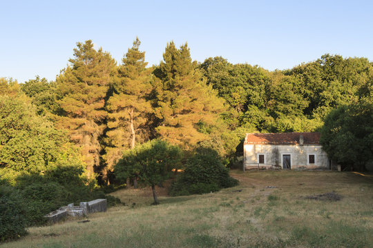 Gargano, Apulia, Italy. Umbra forest, old farm in the Manatecco woodland.