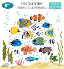 Freshwater aquarium fish breeds icon set flat style isolated on white. Coral reef. Create own infographic about pet