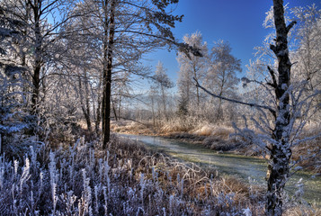Winterstimmung