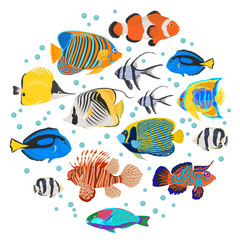 Freshwater aquarium fish breeds icon set flat style isolated on white. Coral reef. Create own infographic about pet © a7880ss