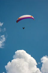 The paraglider flies in the sky above the cloud on a sunny summer day.
