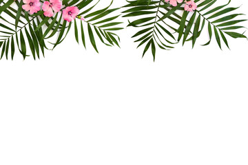Tropical leaves palm tree and pink flowers malva on a white background. Top view, flat lay.