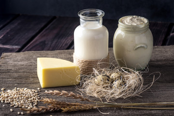 Eco farm products milk, cheese, sour cream, yogurt, eggs on dark wooden background. Concept of home made natural food