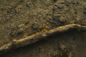 rocky scene in nature