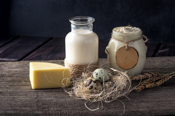 Eco farm products milk, cheese, sour cream, yogurt, eggs on dark wooden background. Concept of home made natural food