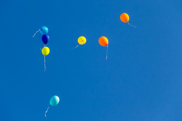 Colorful balloons flying in blue sky