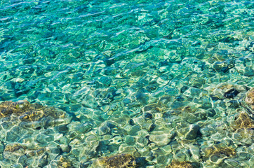 Fototapeta na wymiar Rocky sea floor visible through crystal clear turqoise water of Aegean sea in Sithonia, Greece