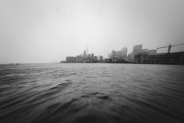 Toronto View