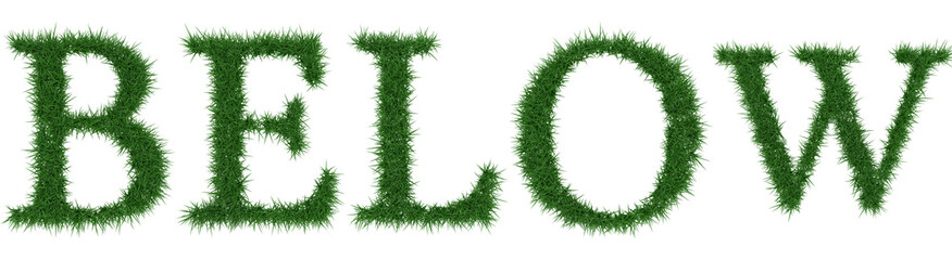 Below - 3D rendering fresh Grass letters isolated on whhite background.