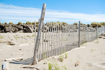 Beach fence in sand