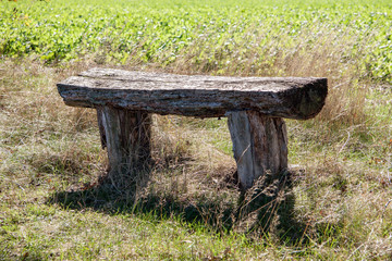 Alte Holzbank auf Wanderweg