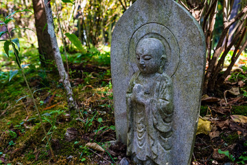 stone buddhist statue in forest, Japan