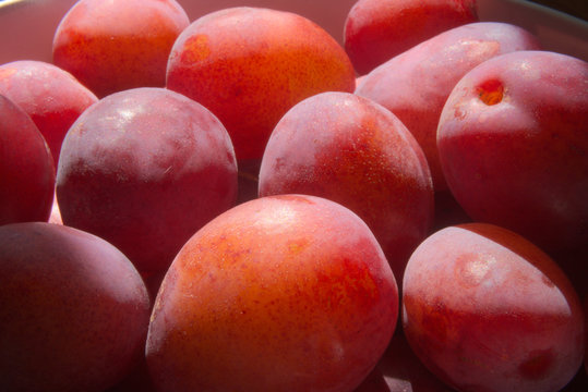 Close up of red plums