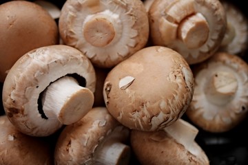 frische braune Champignons