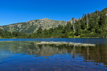 Fototapeta na wymiar Amazing Landscape with Fish Vasilashko lake, Pirin Mountain, Bulgaria