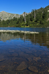 Amazing Landscape with Fish Vasilashko lake, Pirin Mountain, Bulgaria