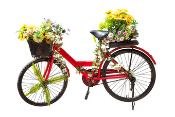 Flower on bicycle