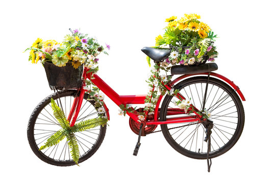 Flower on bicycle