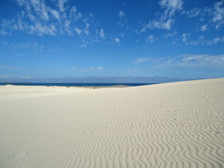 Fototapeta na wymiar Fuerteventura dune