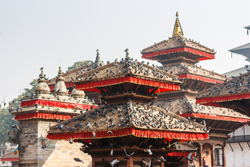 Temples of Kathmandu's Durbar square, covered with pigeons