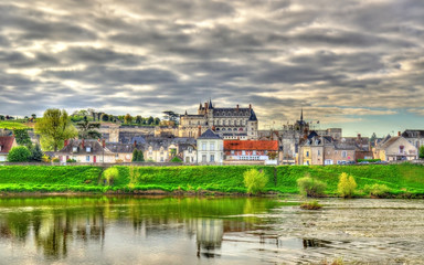 Fototapeta na wymiar View of Amboise town with the castle and the Loire river. France.