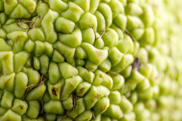 Texture of the skin of the Adam's apple. Macro.