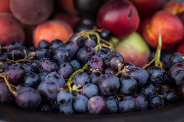Autumn set of beautiful fruit composition on a wooden table