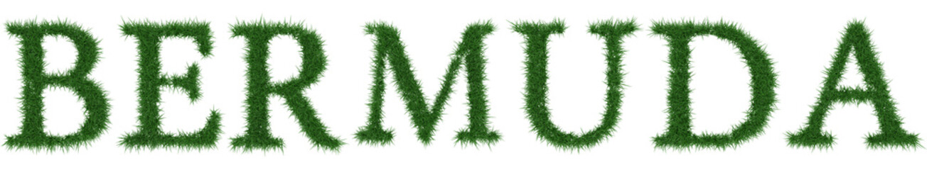 Bermuda - 3D rendering fresh Grass letters isolated on whhite background.