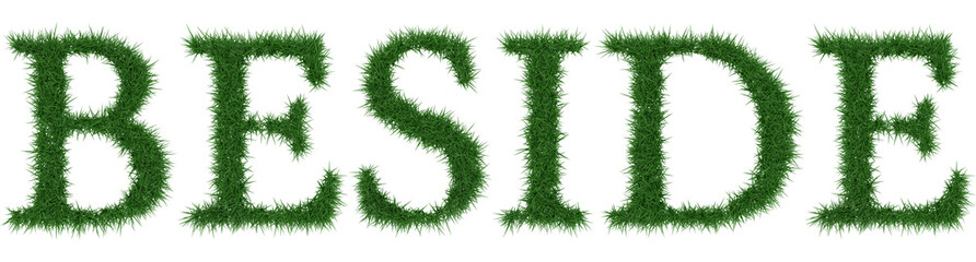 Beside - 3D rendering fresh Grass letters isolated on whhite background.