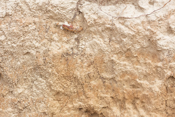 soil texture background