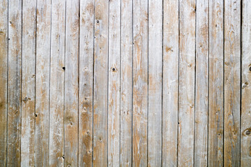 Obraz premium Natural wood board wall panel grunge texture. Old wooden planks rustic shabby gray background. Hardwood weathered grey timber surface