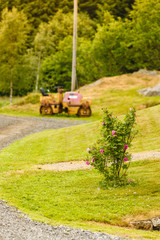 Combine harvester standing next to coutryside path