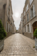 Fototapeta na wymiar Ruelle pavée de Blois