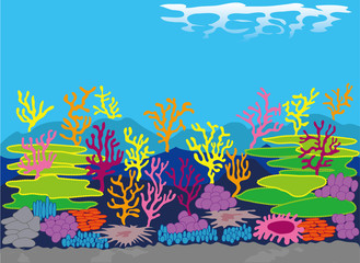 Naklejka na ściany i meble 珊瑚礁2