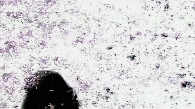 Cycling Hand Painted Film Graphic Texture