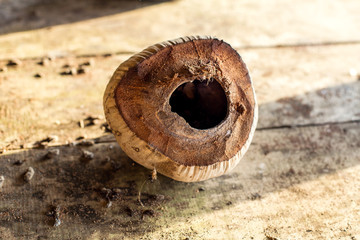 old broken coconut